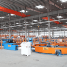 Vertical Strip Accumulator (Looper) 500–800 m | Jinbolida, Shandong, China — photo 1