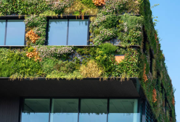 Roll Forming for Sustainable Building Solutions in Argentina